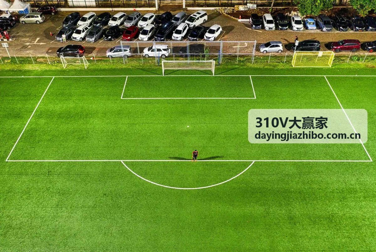 310V大赢家赛事直播高清画面展示